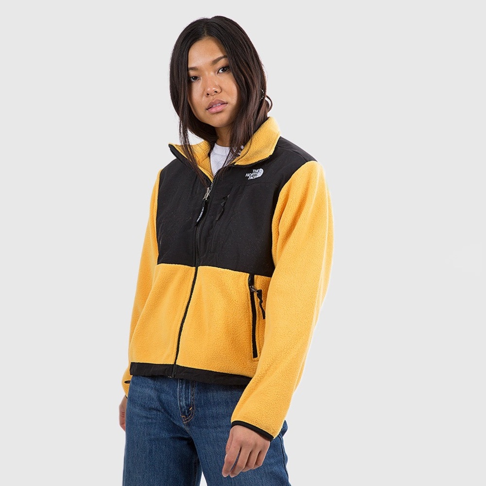 The North Face 1995 RETRO DENALI JACKET